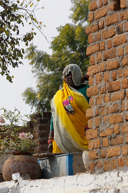 Sur la route d'Orchha-061